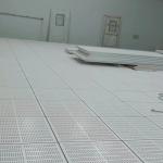 Ventilated Raised Access Floor for Data Center
