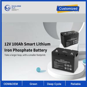 China OEM ODM LiFePO4 lithium battery 12V 100Ah Lithium Battery Smart Deep Cycle Customized battery lithium battery packs factory