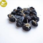Factory manufacturer black goji berry, big size black goji berry,black dried