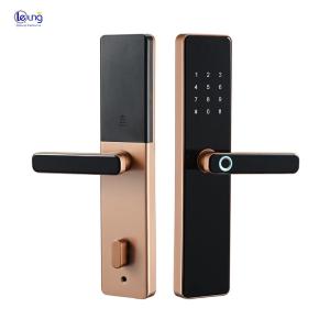 China Hotel Smart Digital Lock Door with Fingerprint Password and Key Card 5kg/pcs WiFi Tuya factory