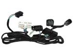 Professional Wiring Harness Manufacture Custom OBD Y Cable 2 Male to Female