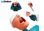 Dental Simulator Dental Chair Unit Detnal Teaching Model Training Simulator Head
