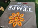 Interior cheap beautiful 3D acrylic LED letter sign Customize company logo
