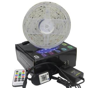 China 5050 SMD IP65 Waterproof RGB Led Strip Lights Smart App Music Symphony factory