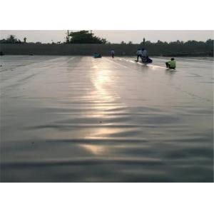 Customization 0.5mm Hdpe Polyethylene Geomembrane For Fish Tank