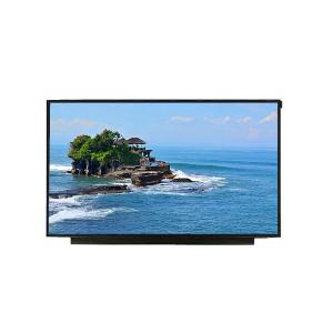 China 17.3 Inch 1920*1080 Industrial LCD Display Panel FHD Panel Mount Lcd factory