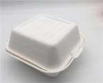 6" Disposable Sugarcane Bagasse Hamburger Clamshell Box