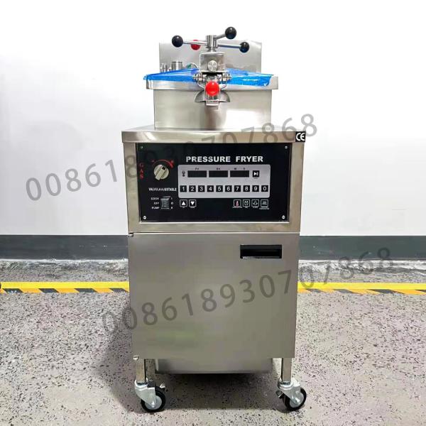 25D Compute Panel Without Filtration Gas & Electric Heating Chicken Pressure