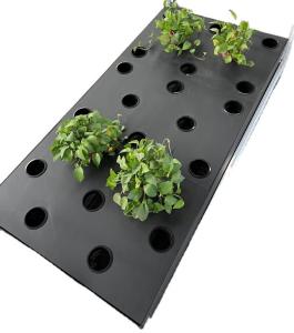 China PP Aeroponic Grow System Height 15cm Hydroponic Cloning Box factory