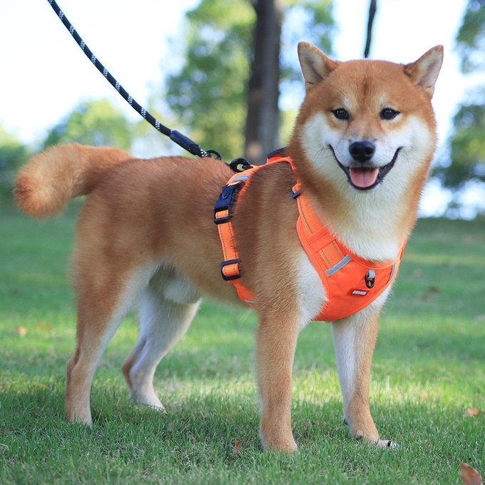 Lightweight Pet Oxford Cloth Harness Vest Reflective Strips For Pets