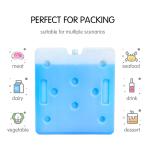 Hard Shell Reusable Food Grade Long Lasting Cool Energy Gel Ice Pack