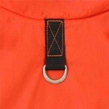 Extra Soft Polyester Fabric, Windproof and Comfortable Dog Cotton-Padded Clothes