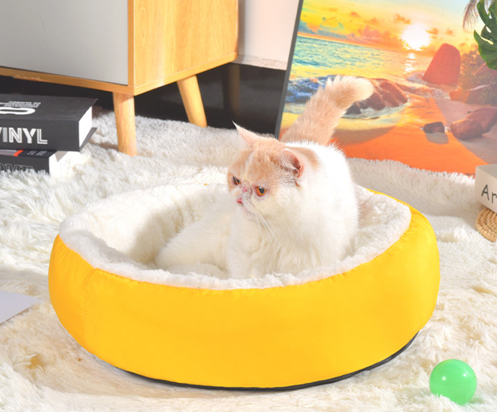small kitten bed