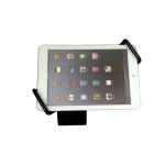 Anti-grab tablet panel computer display mounting security stand