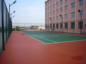 China HOT sales Chain Link Fencing,Industrial Fencing,sport yard fence factory