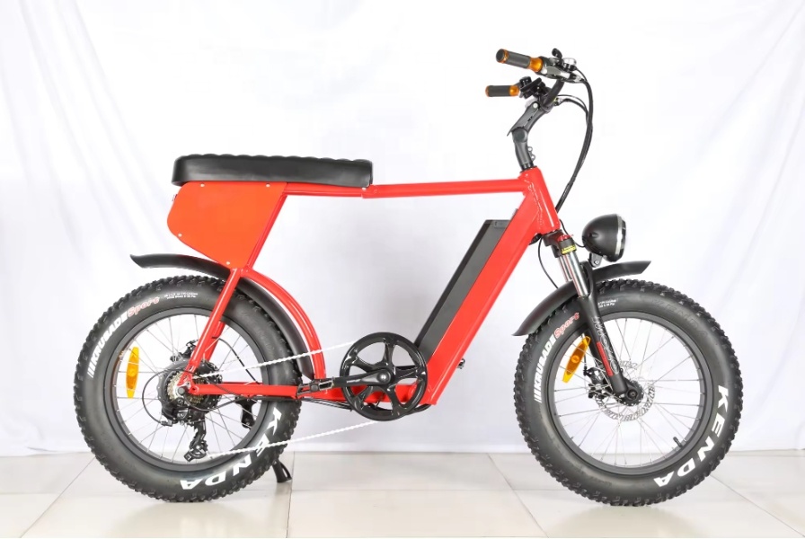 73 Style 20 Inch Fat Tire Electric Mountain Bike 48V 500W/750W/1000W Electric City Bike With Long Seat Electric Fat Bike