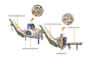 China Commercial Garlic Peeling Line Peeler Machine Garlic Bulb Breaking Machine factory