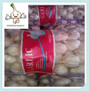 China 2016 New Crop Chinese Garlic /fresh garlic bulk New Crop Fresh Red Garlic factory