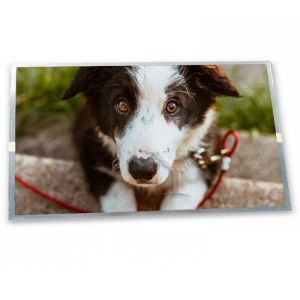 TX13D200VM5BAA 640*480 Resolution LCD Modules Custom ODM 5.0-Inch WLED LCD Display Module