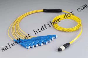 China 12c MPO/PC G652D Sm Fiber Optical Pigtail factory