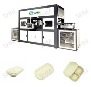 China Biodegradable Pulp Molding Tableware Machine Disposable Dish Line factory