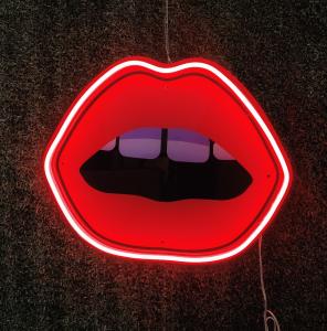 China Wall Decor Art Handmade Neon Sign USB Powered Printing Women Red Lips Neon Sign on sale