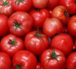 Automatic Tomato Paste Processing Line 50 Tons / Hour