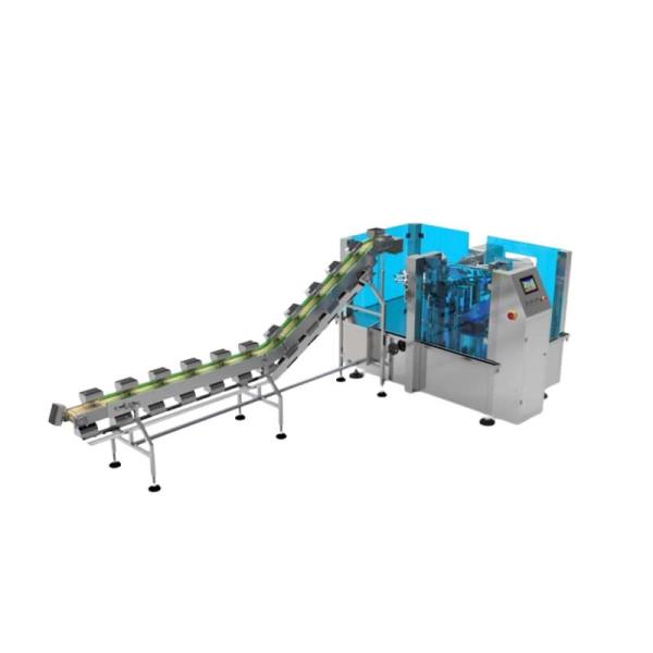 China 5KW Sachet Packaging Machine for Grain Bags 180-300mm factory