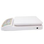 kitchen foods Scale Mini Digital Electronic scales Pocket 10Kg/1g Kitchen