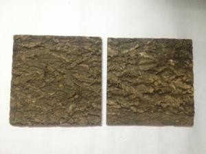 China Wholesale Tree Bark Cork Wall Tile with cork backer factory