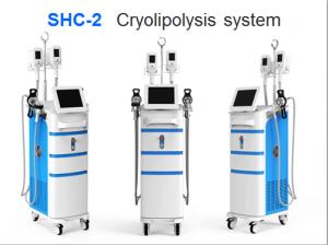 China effective fat freeze lipolaser+RF+cavitation+double cryo head 5 in 1 cryolipolysis machine factory