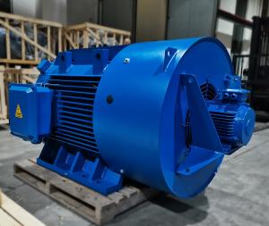 China Heavy Duty Gearless Variable Frequency Drive Motor High Power Density factory