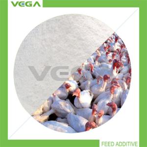 China Veterinary Products Florfenicol 20% Premix factory