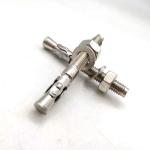 Electro-polishing 3/8" Stainless Steel Wedge Anchor Bolts for Concrete Expansion