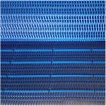 Industry Vegetable Plastic Conveyor Belt Wear Resistant Strong