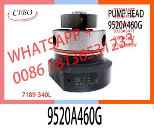 China High Quality Diesel Fuel Injection Pump DPA Head Rotor 7189-340L For 9520A460G factory