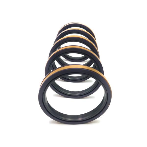 China Customized Excavator Hydraulic Cylinder Seal DSI Spgw Piston Seal factory