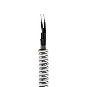 China Stranded 2 Cores 2x1.5mm2/2x1.0mm2 Copper Armored Wire for Fire Alarm System Protection factory