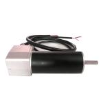 1000rpm Coreless DC Motor 36V High Torque Gear Motor For Rotating Satellite Dish