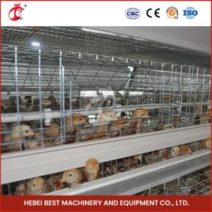 China Silver Hot Galvanized Broiler Chicken Cage For Raising Chickens Adela factory
