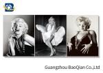 Marilyn Monroe Movie Star Poster For Home Wall Decoration , 3d Flipped Picture