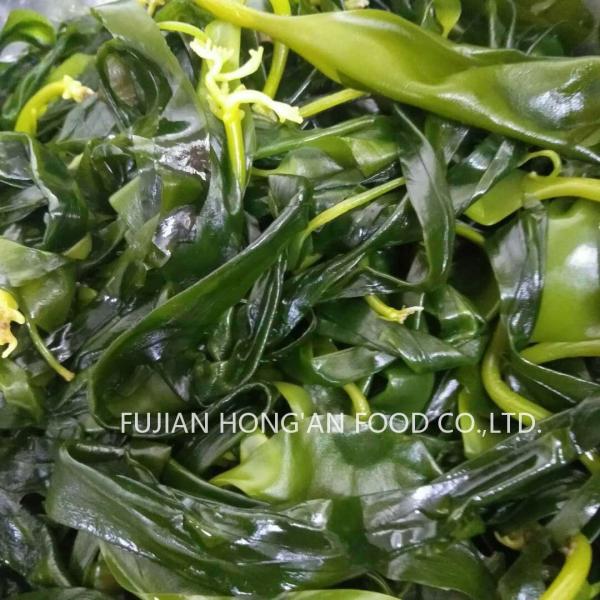 Vitamin Rich Sea Organic Edible Kelp Fronds Umami Sea Vegetable For Salads Or