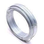 ASTM Standard Steel Wire For Nail Galvanized Wire In Coil BWG 6