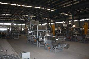 China Industrial Walnut Almond Groundnut Crushing Machine Automatic Easy Operation factory