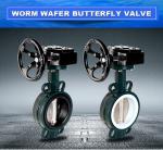 Metal Lever Cast Iron Body Wafer End Type Dn50 Butterfly Valve