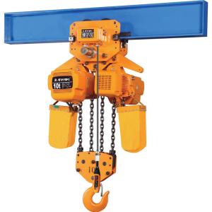 China Portable Electric Chain Hoist 1 Ton With Remote Control With Durable Body factory
