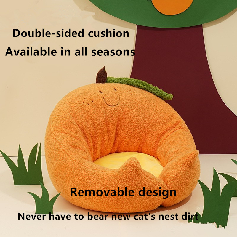orange cat bed