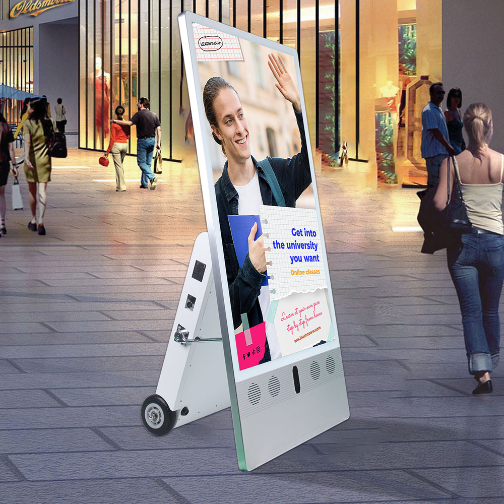 Portable Battery Display