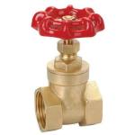 DN15 Stainless Steel Female Gate Valve Of 201 Stainless Steel Used For Piping