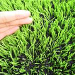 China Artificial Football Pitches 8000-15000 Dtex Efficient Drainage Rubber